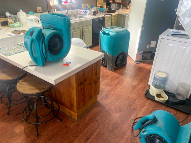 Best Emergency water damage restoration  in Syracuse, NE