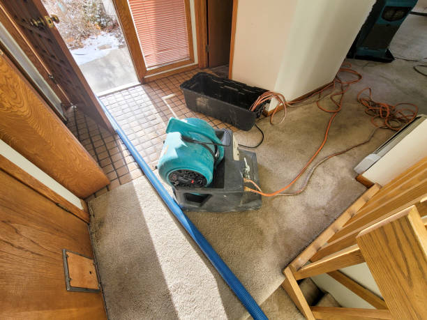Best Professional water damage repair  in Syracuse, NE