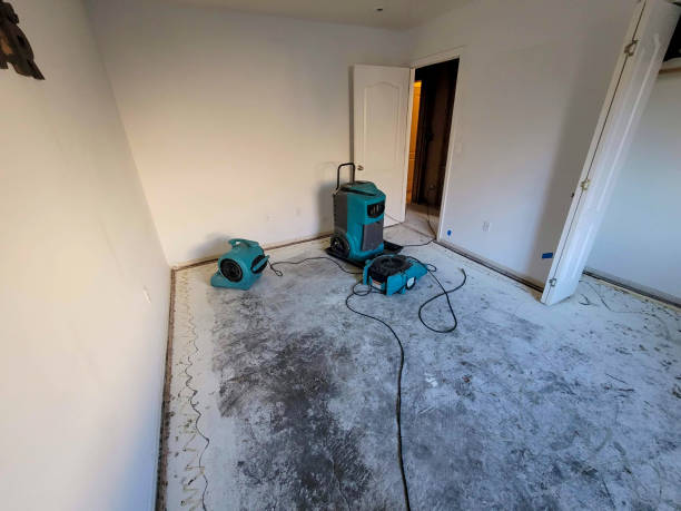 Best Fire Damage Restoration  in Syracuse, NE