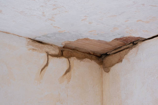Best Flood damage cleanup  in Syracuse, NE