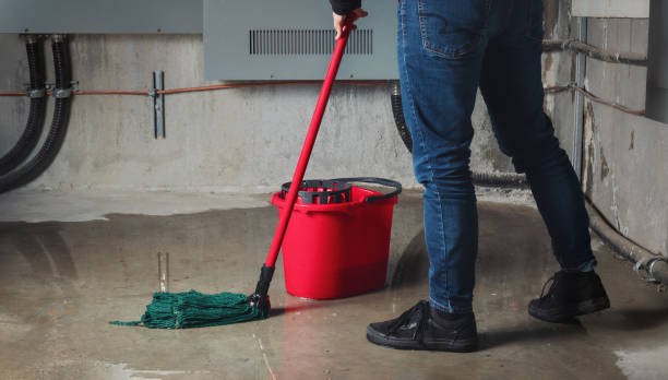 Best Water damage restoration experts  in Syracuse, NE
