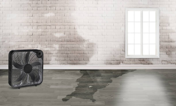 Water damage restoration experts in Syracuse, NE