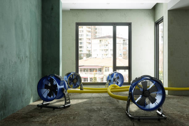 Best Water damage restoration near me  in Syracuse, NE